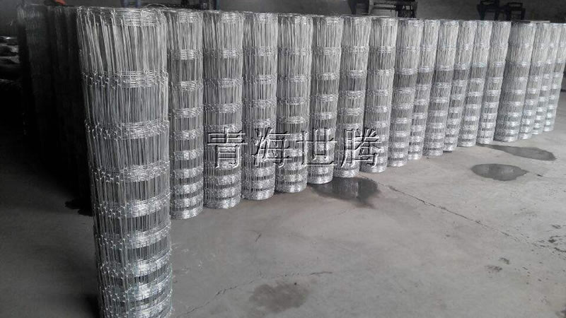 草原<a href='http://www.iufhoyp.cn/hulanwangxilie/page_2.html'target='_blank'>護(hù)欄網(wǎng)</a>.jpg